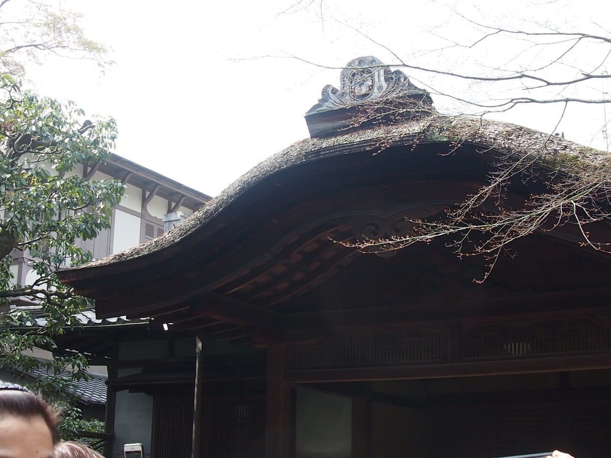 f:id:maru04:20190323112213j:plain f:id:maru04:20190323112213j:plain