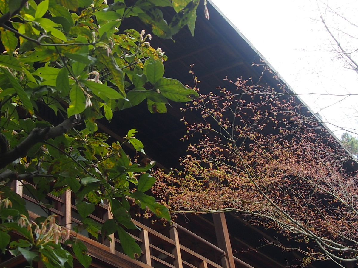 f:id:maru04:20190323120907j:plain f:id:maru04:20190323120907j:plain