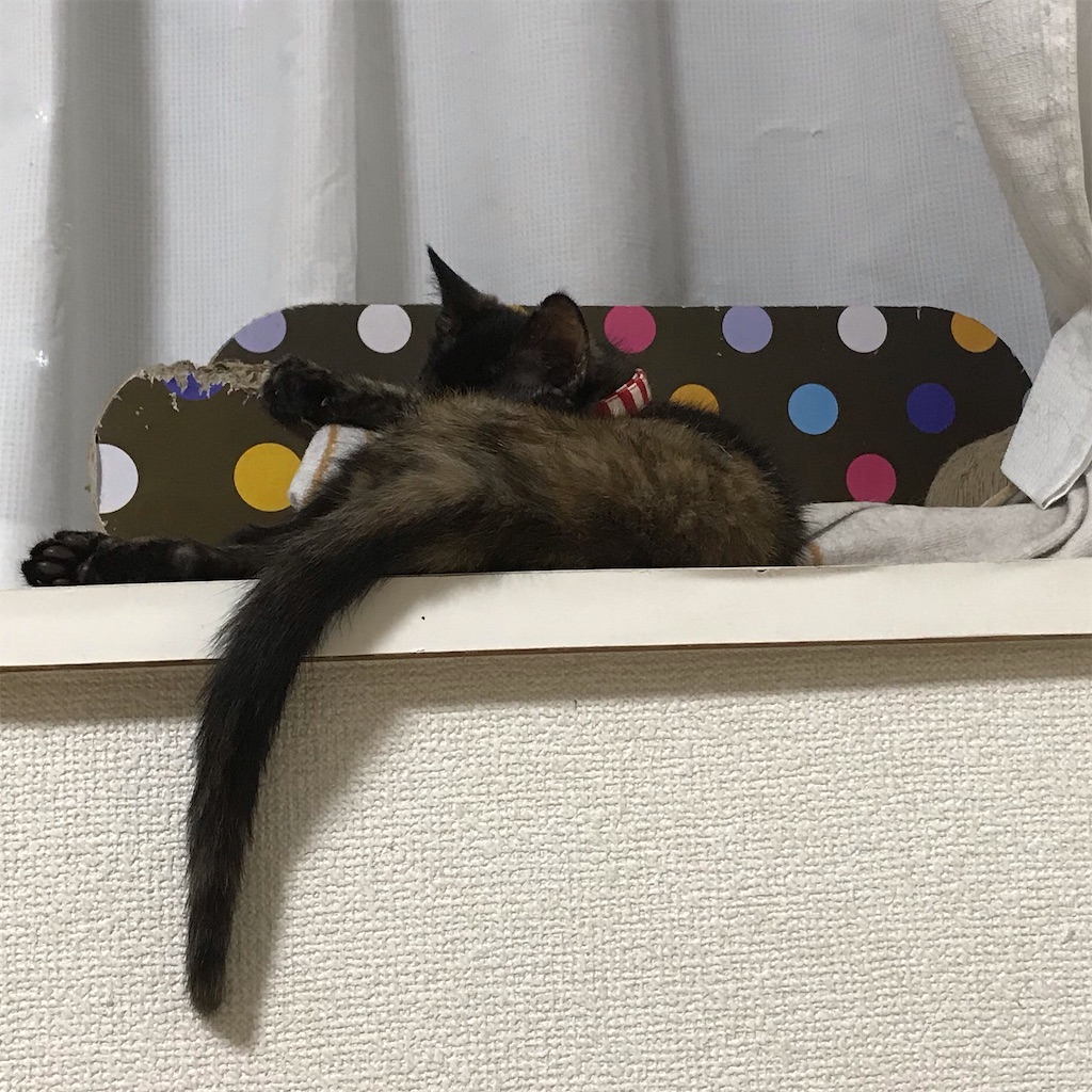 f:id:maru10200607:20190730095443j:image