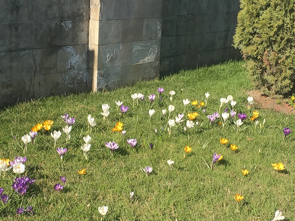f:id:maru2020:20200325215043j:plain f:id:maru2020:20200325215043j:plain