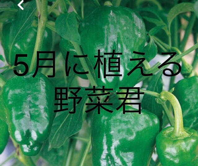 f:id:maru2366:20230420104249j:image