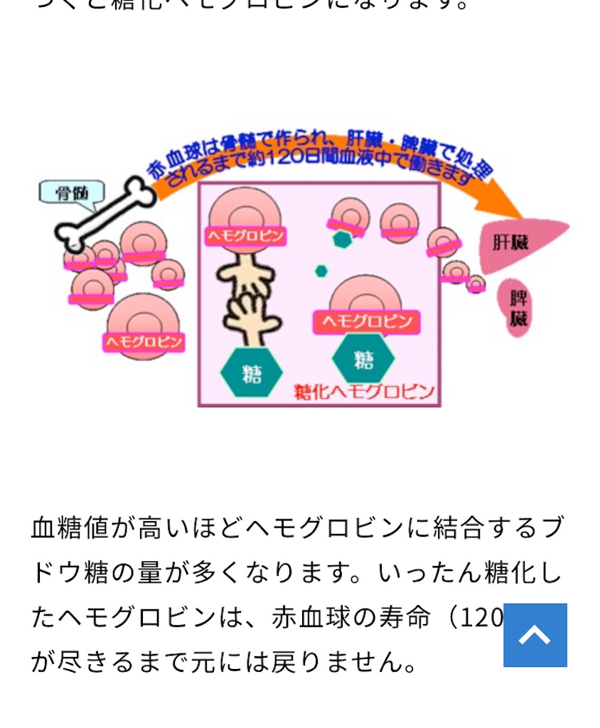 f:id:maru3go:20220221125438j:image