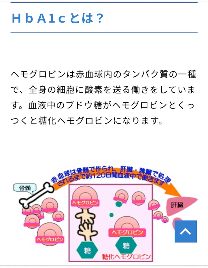 f:id:maru3go:20220221125444j:image