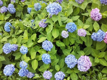 f:id:maru99:20180521125447j:image