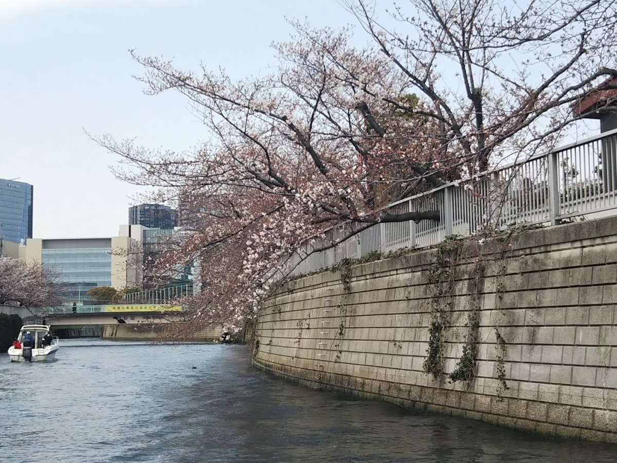 f:id:maru99:20190328110050j:plain