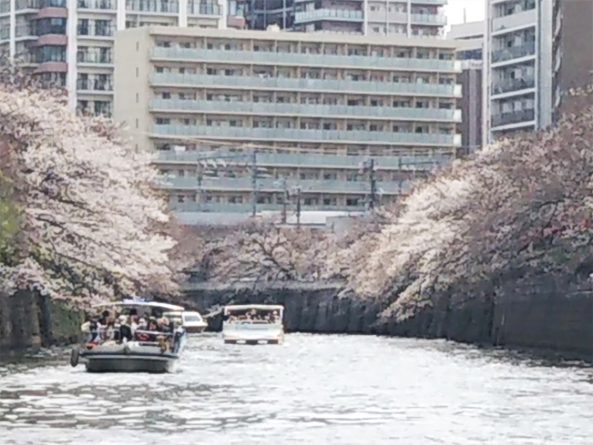 f:id:maru99:20190328112405j:plain