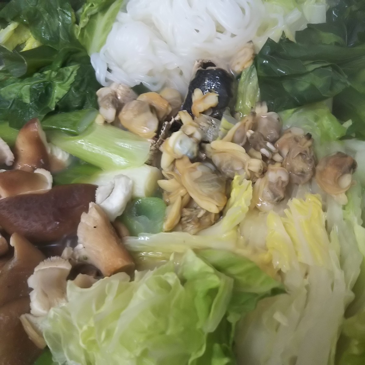f:id:maru99:20190412120024j:plain f:id:maru99:20190412120024j:plain
