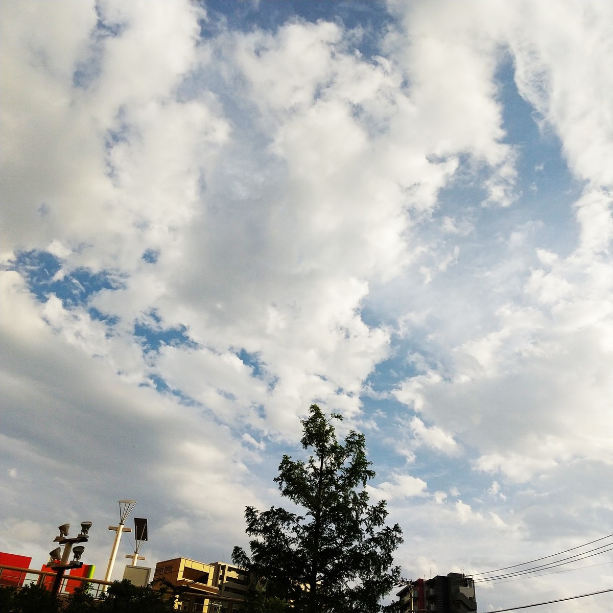 f:id:maru99:20200712172758j:plain