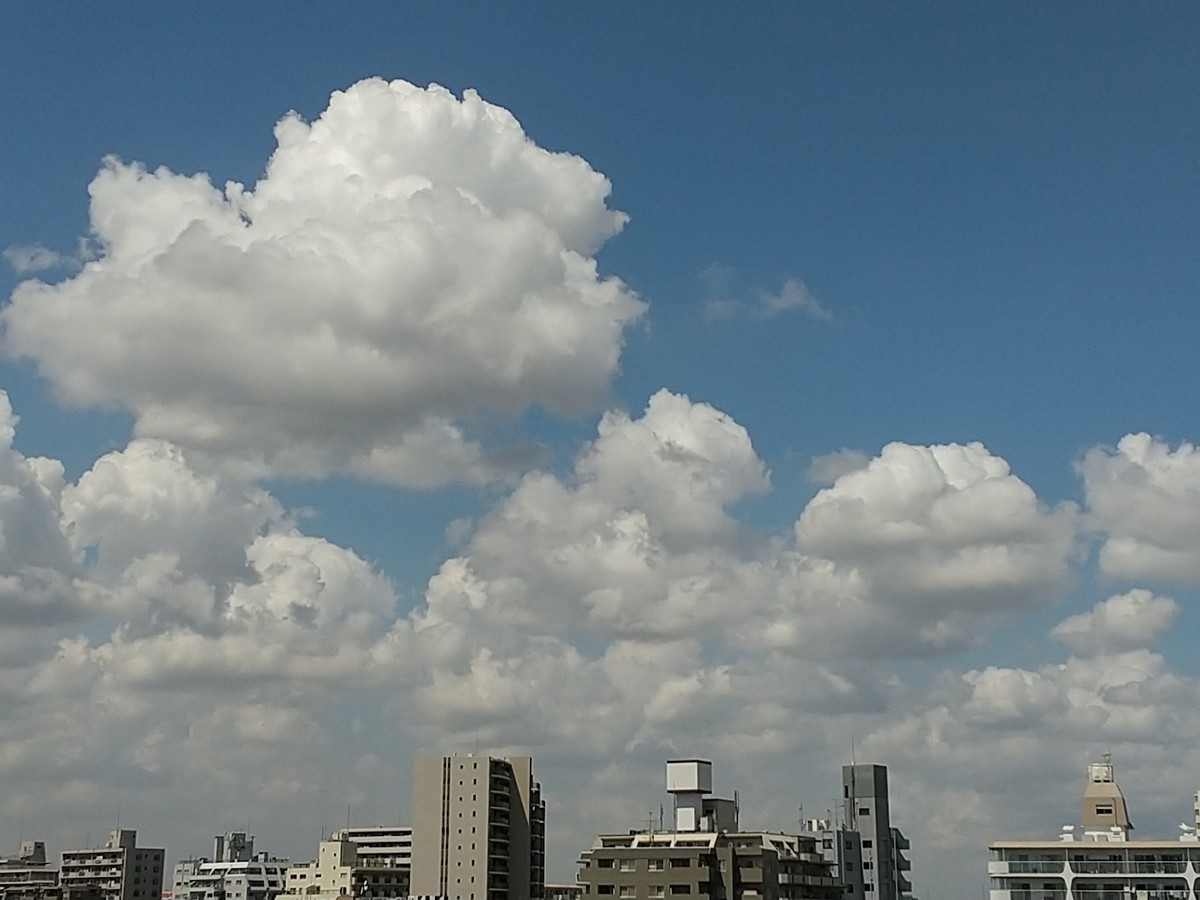 f:id:maru99:20200828121152j:plain f:id:maru99:20200828121152j:plain
