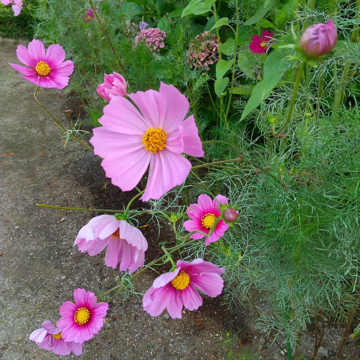 f:id:maru99:20210623173244j:plain