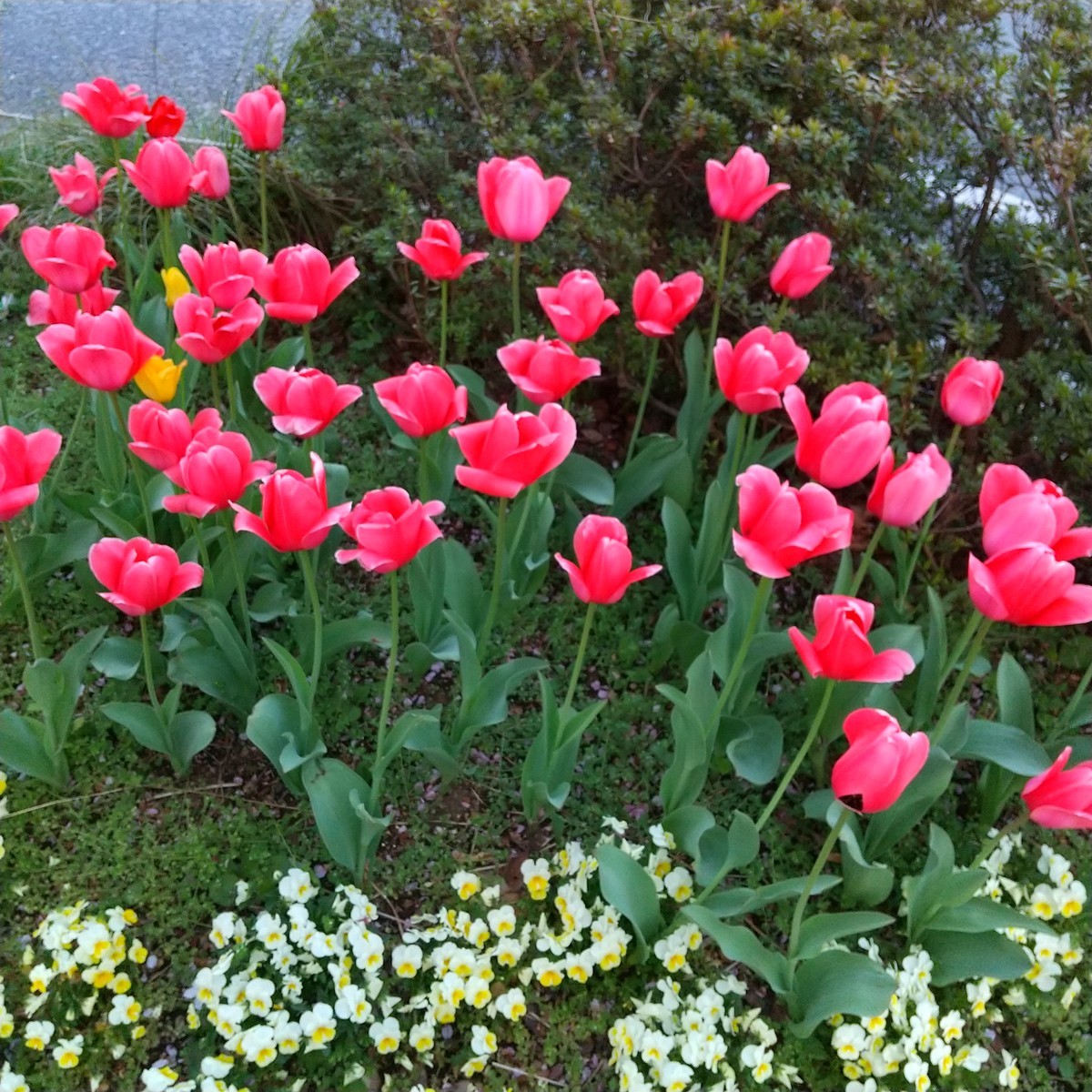 f:id:maru99:20220409174604j:plain