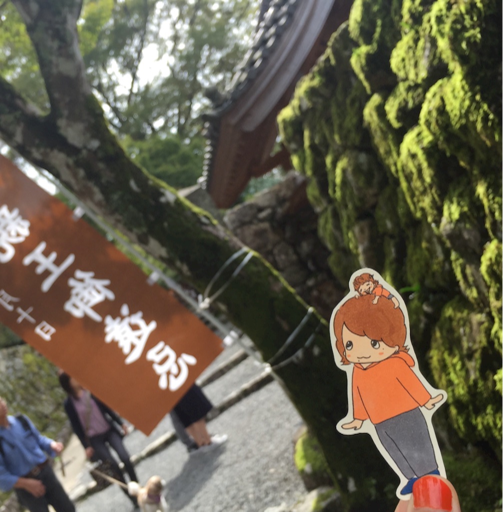 f:id:maru_maru4260:20161021103627j:image f:id:maru_maru4260:20161021103627j:image