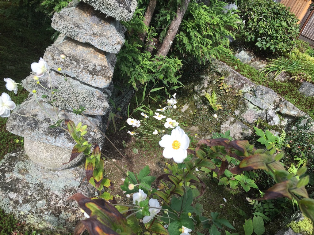 f:id:maru_maru4260:20161021104208j:image f:id:maru_maru4260:20161021104208j:image