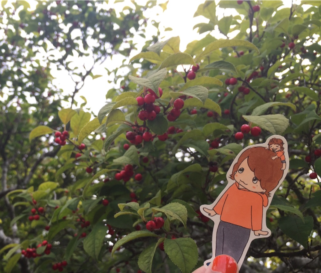 f:id:maru_maru4260:20161021104230j:image f:id:maru_maru4260:20161021104230j:image
