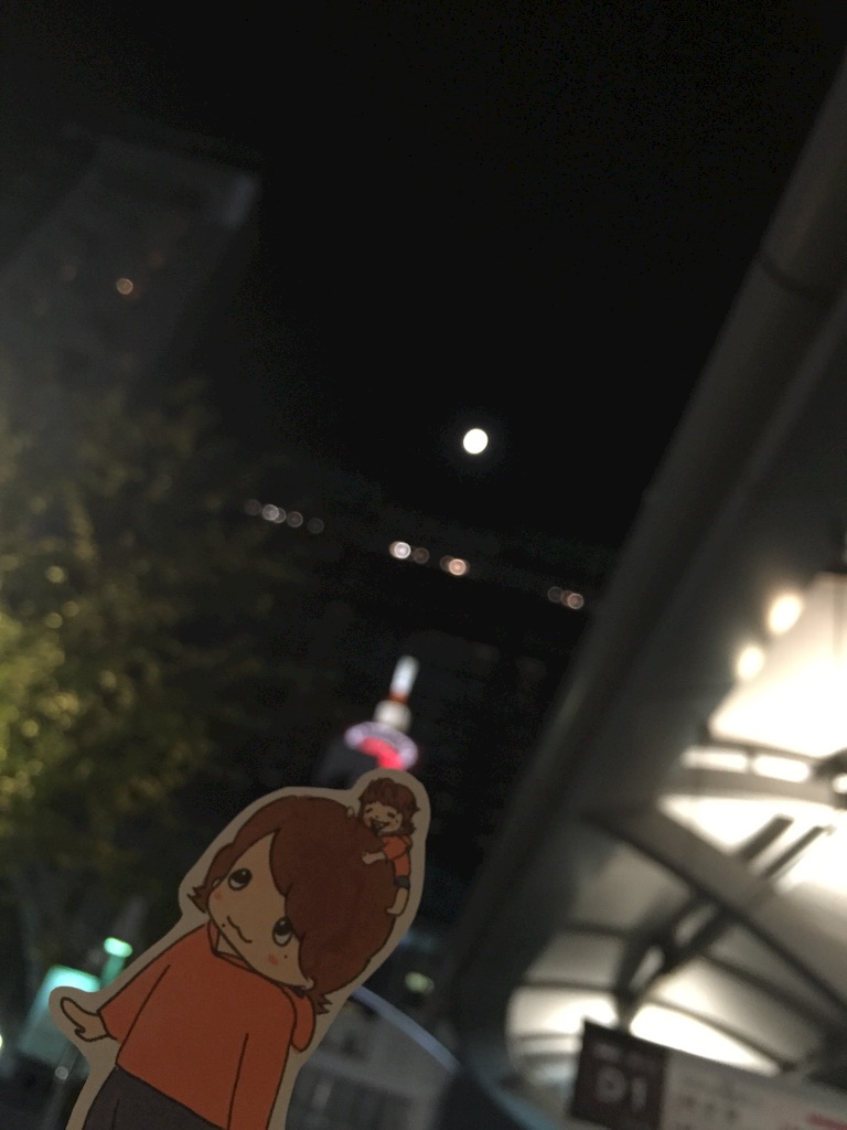 f:id:maru_maru4260:20161104184038j:image f:id:maru_maru4260:20161104184038j:image