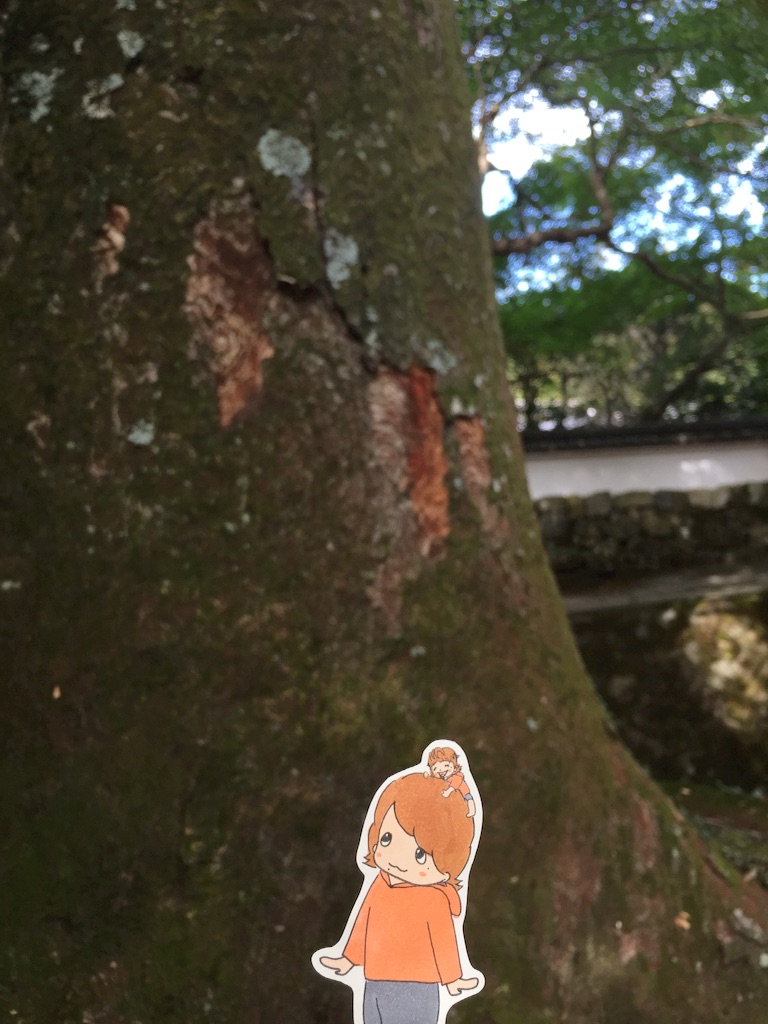 f:id:maru_maru4260:20161110194841j:image f:id:maru_maru4260:20161110194841j:image