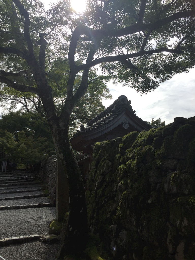 f:id:maru_maru4260:20161110200745j:image f:id:maru_maru4260:20161110200745j:image
