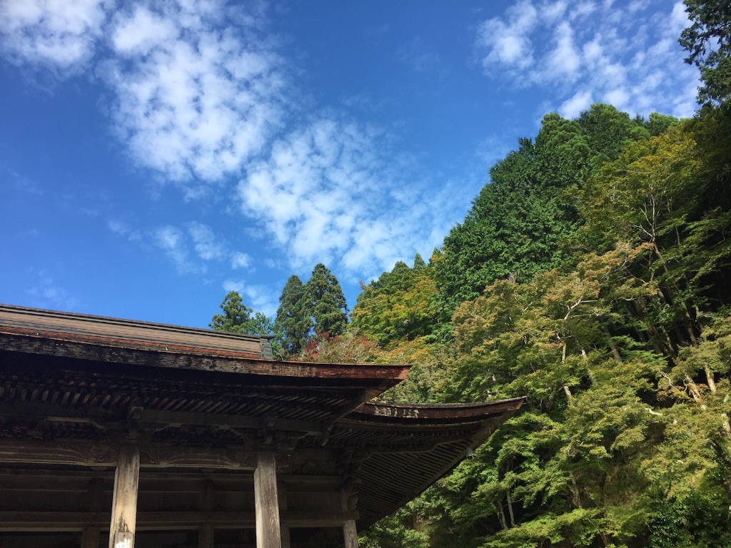 f:id:maru_maru4260:20161110201147j:image f:id:maru_maru4260:20161110201147j:image