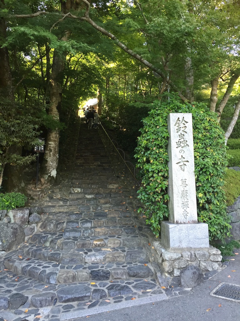 f:id:maru_maru4260:20161113132905j:image f:id:maru_maru4260:20161113132905j:image