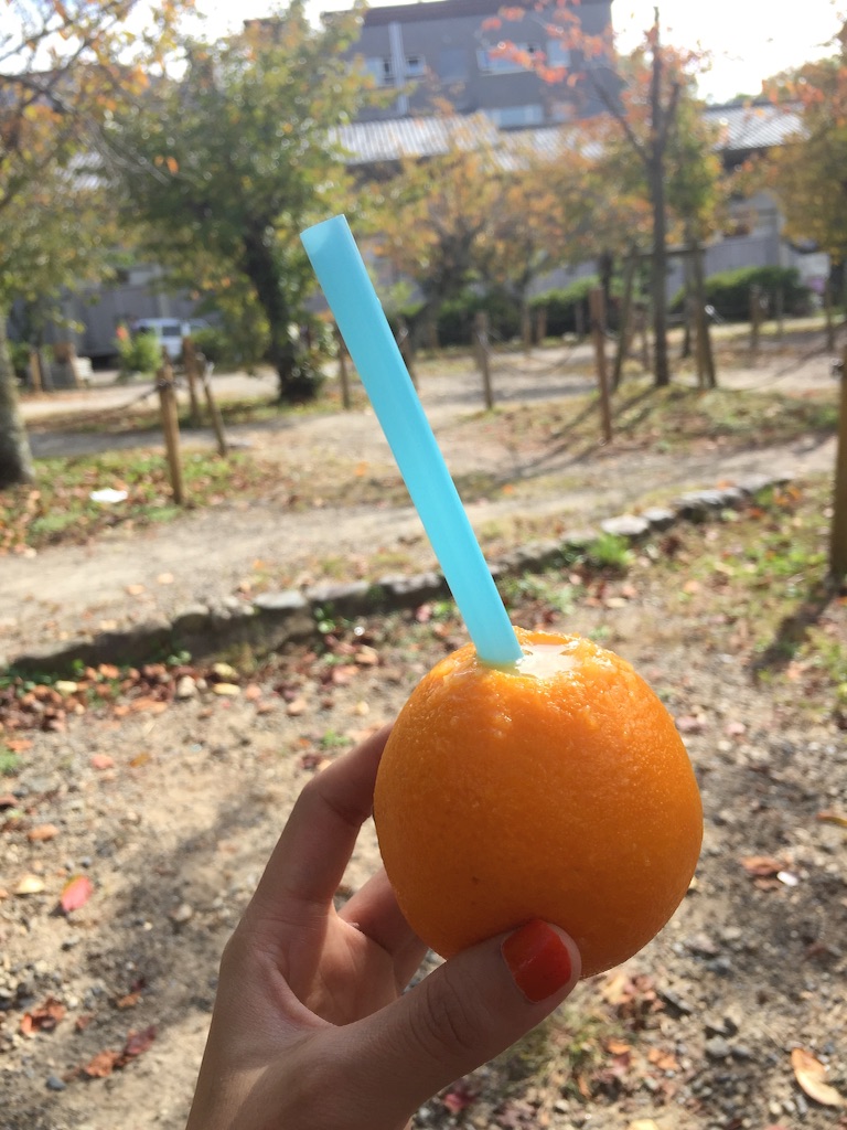 f:id:maru_maru4260:20161121084357j:image f:id:maru_maru4260:20161121084357j:image