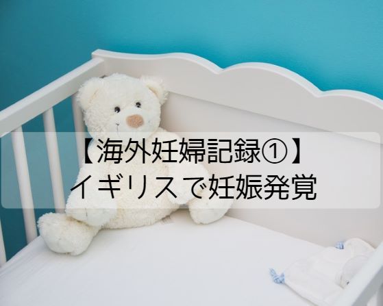 f:id:maru_pon:20210129202244j:plain