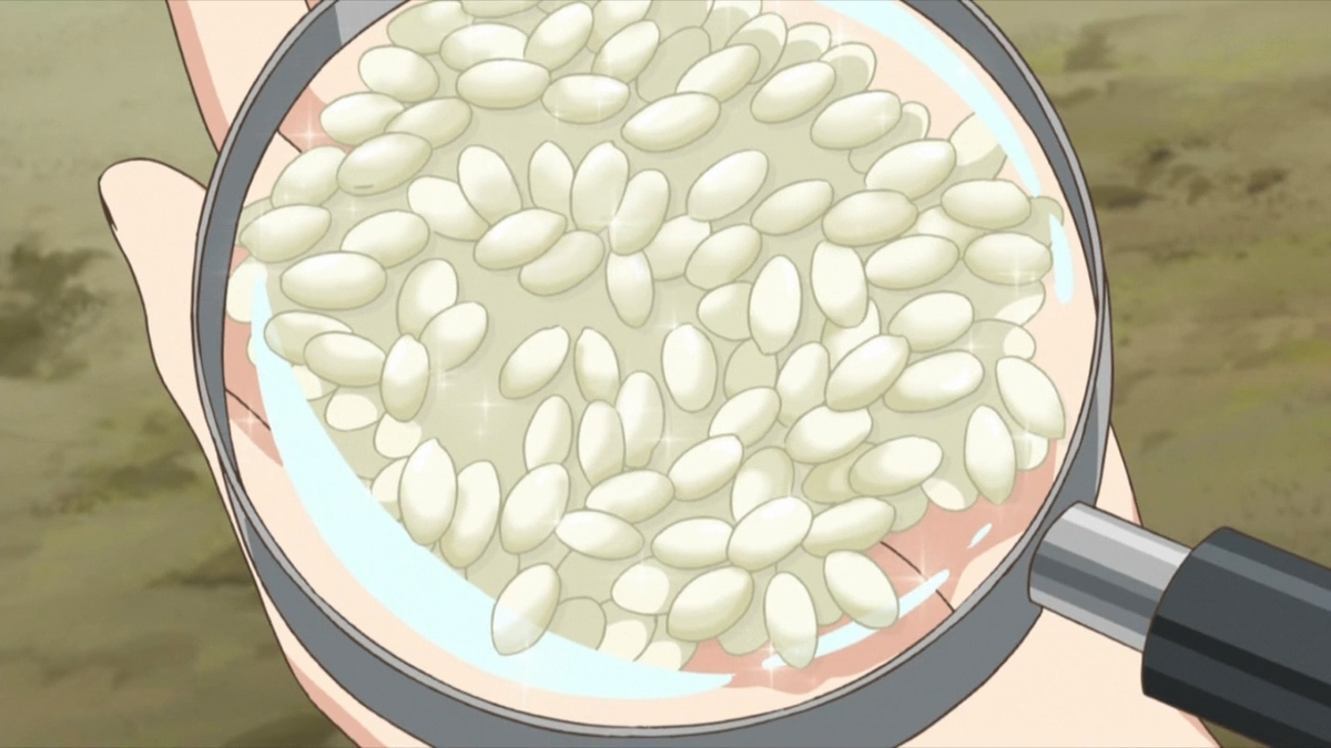 f:id:maruakurose:20210301030901j:plain