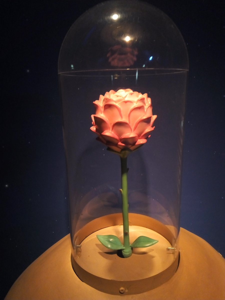 努力は必ず報われる 努力の意味と努力が実る方法 まるあろぐ 努力は必ず報われる 努力の意味と努力が実る方法 まるあろぐ