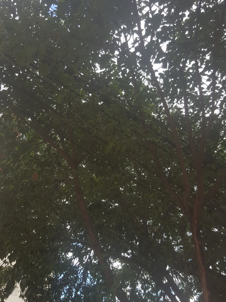 f:id:marubontan:20190224232412j:plain f:id:marubontan:20190224232412j:plain