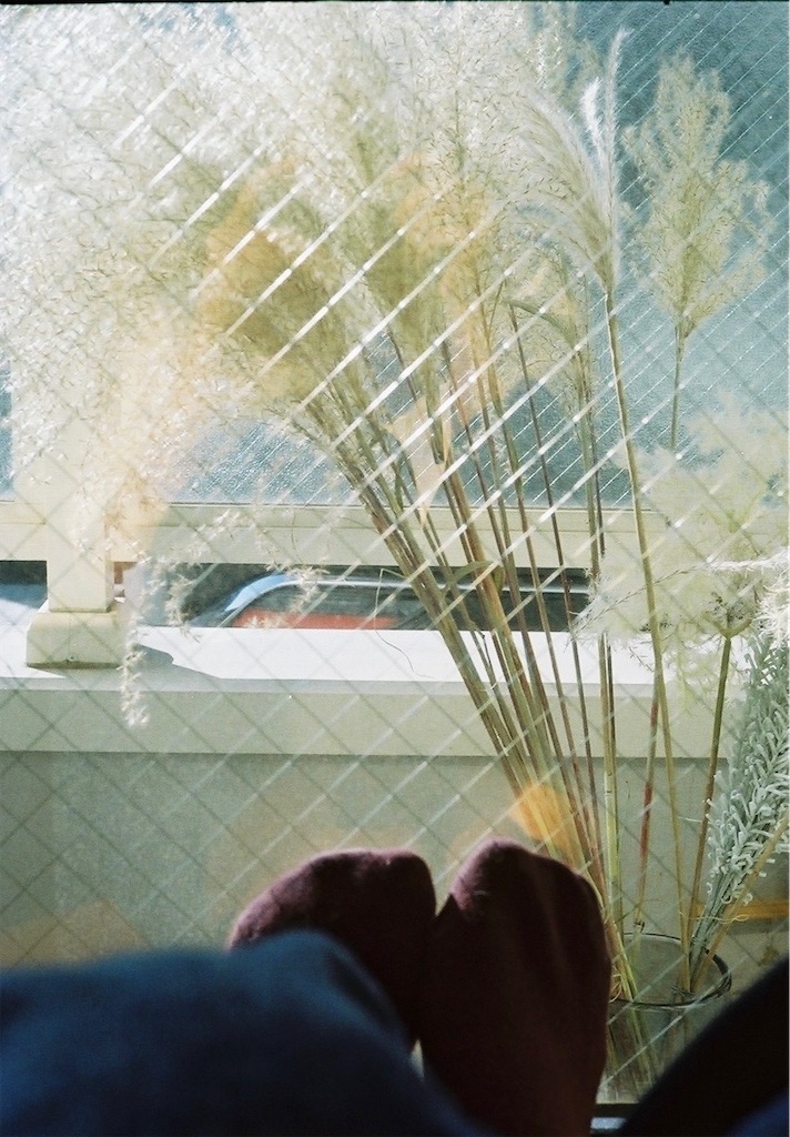 f:id:marucha-log:20220827121131j:image