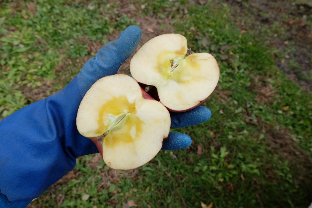 f:id:maruchan_seisan:20171121134843j:plain