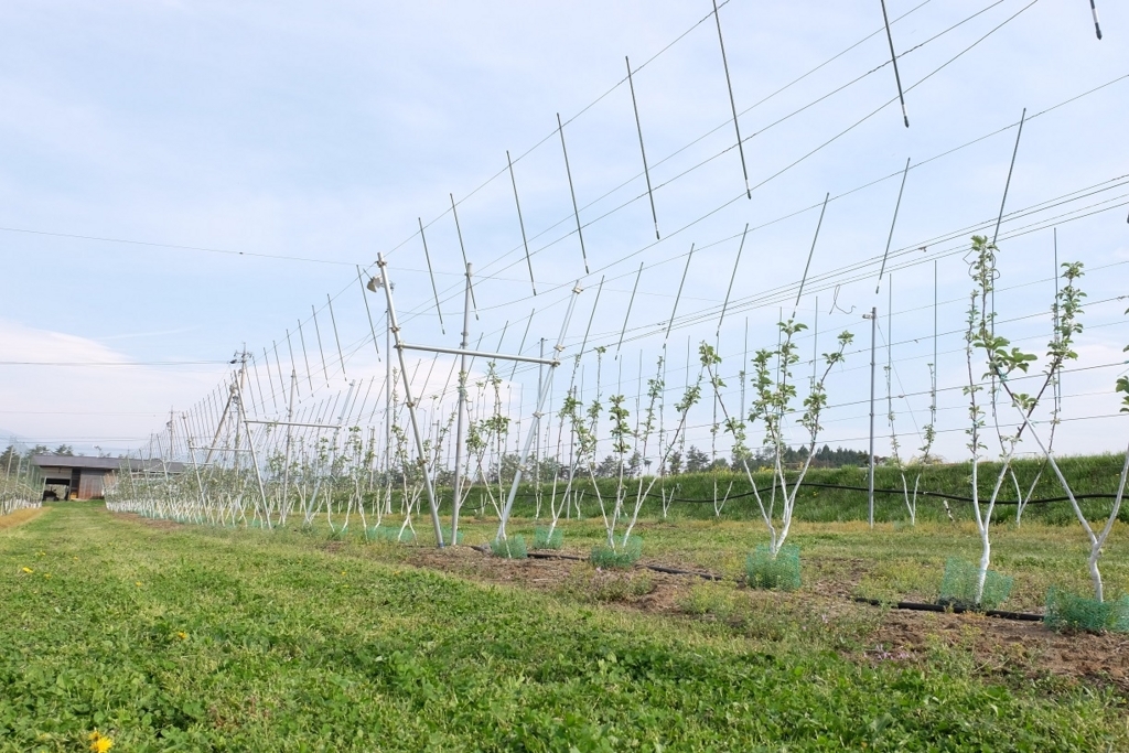 f:id:maruchan_seisan:20180423154409j:plain