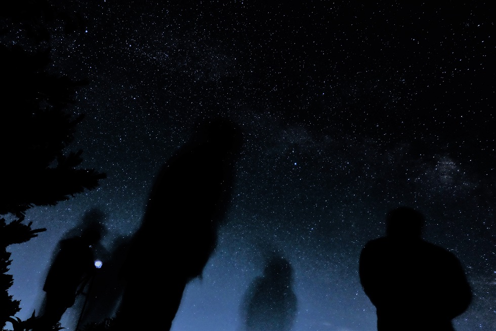 f:id:maruchan_seisan:20180717205749j:plain