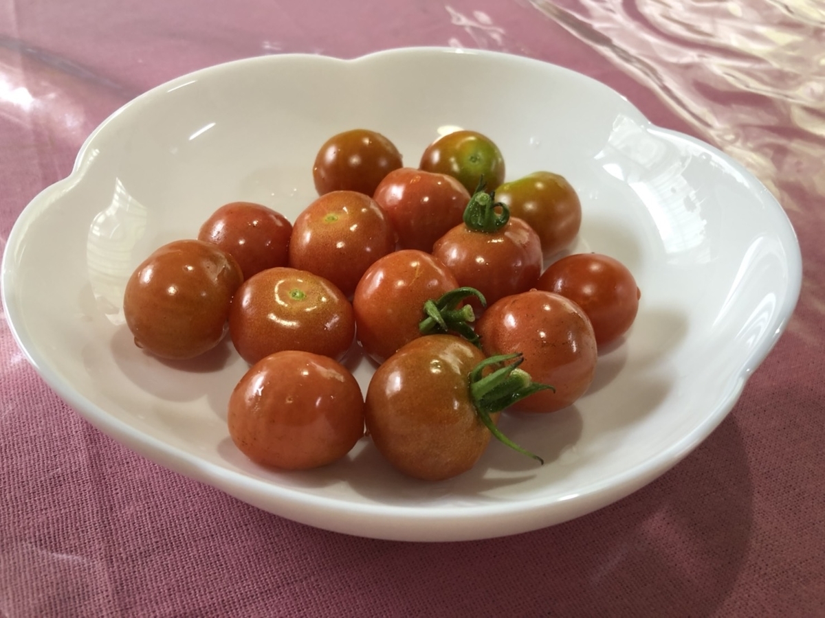 f:id:marucoro55:20200726155242j:plain