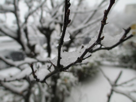 f:id:marucozy:20130114111451j:image