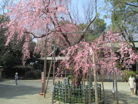 f:id:marucozy:20130317111934j:image