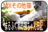 にほんブログ村 猫ブログ MIXその他猫へ