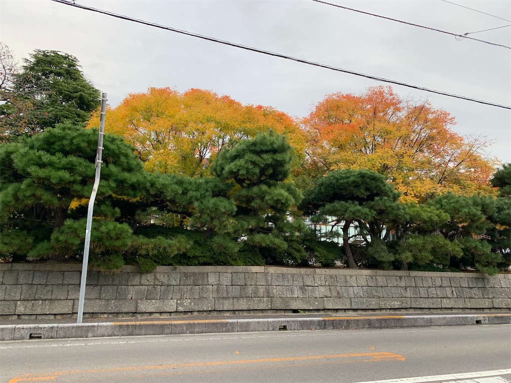 f:id:marugamesuurijuku:20251112165338j:image