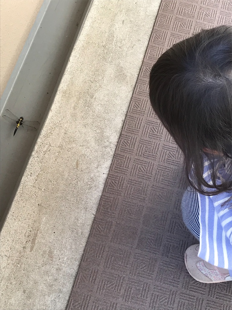 f:id:marugaotomohiro:20190519213323j:image