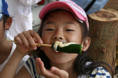 f:id:marugoto:20100920134006j:image