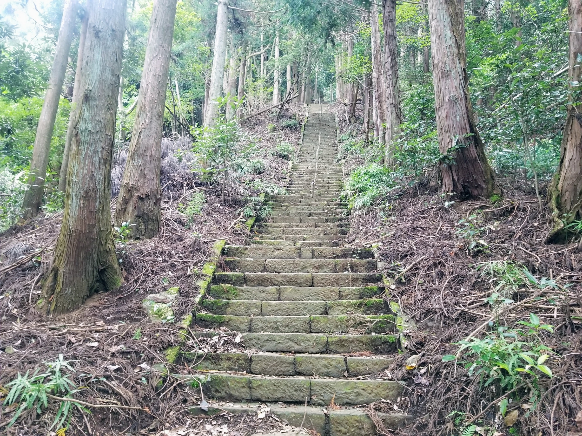 f:id:maruha0203:20211009143512j:plain