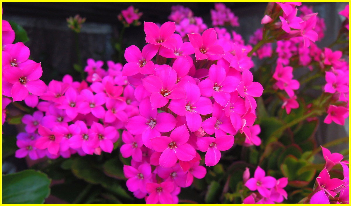 f:id:marui-hall:20200426134735j:plain