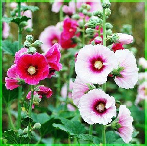 f:id:marui-hall:20210523170230j:plain