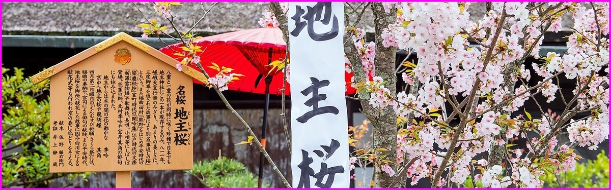 f:id:marui-hall:20220320163456j:plain