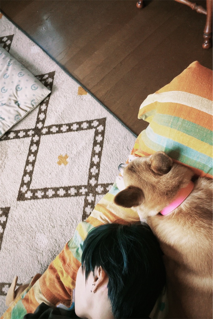 f:id:maruiinochi:20230407210128j:image