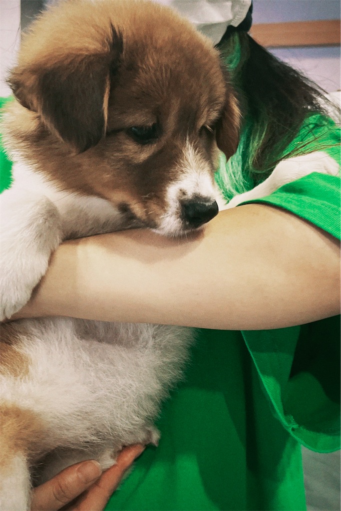 f:id:maruiinochi:20231231200717j:image