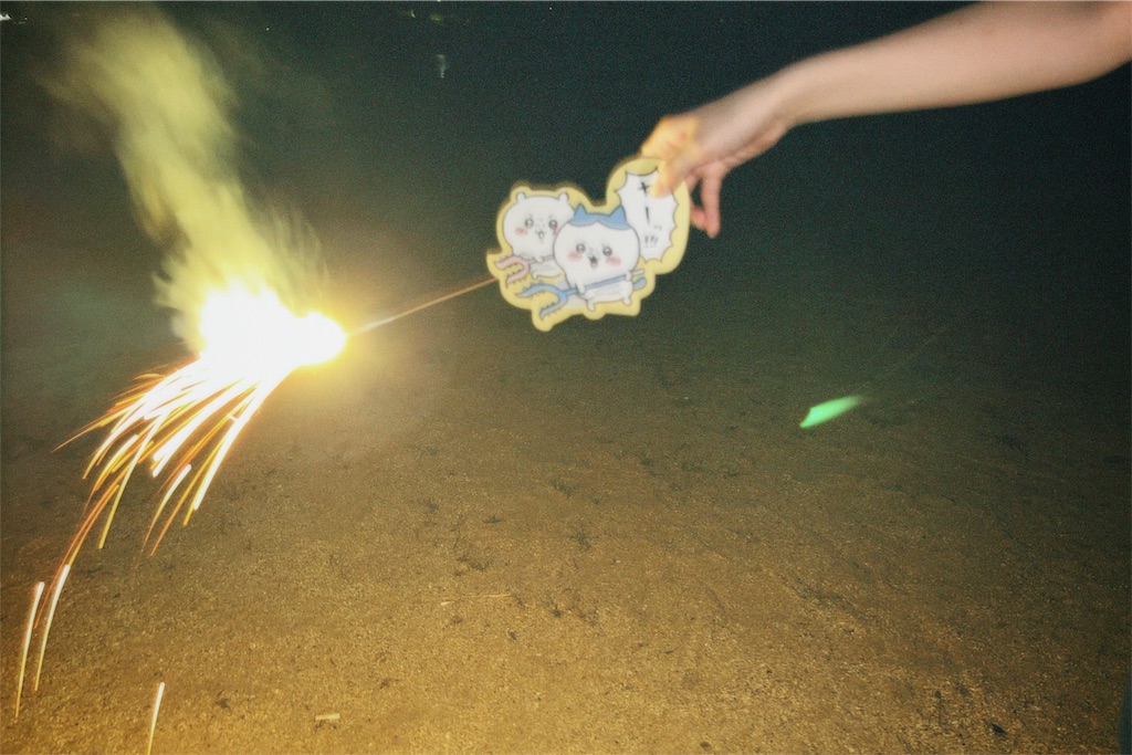 f:id:maruiinochi:20231231202100j:image
