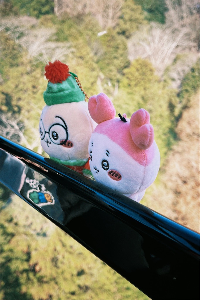 f:id:maruiinochi:20231231230251j:image