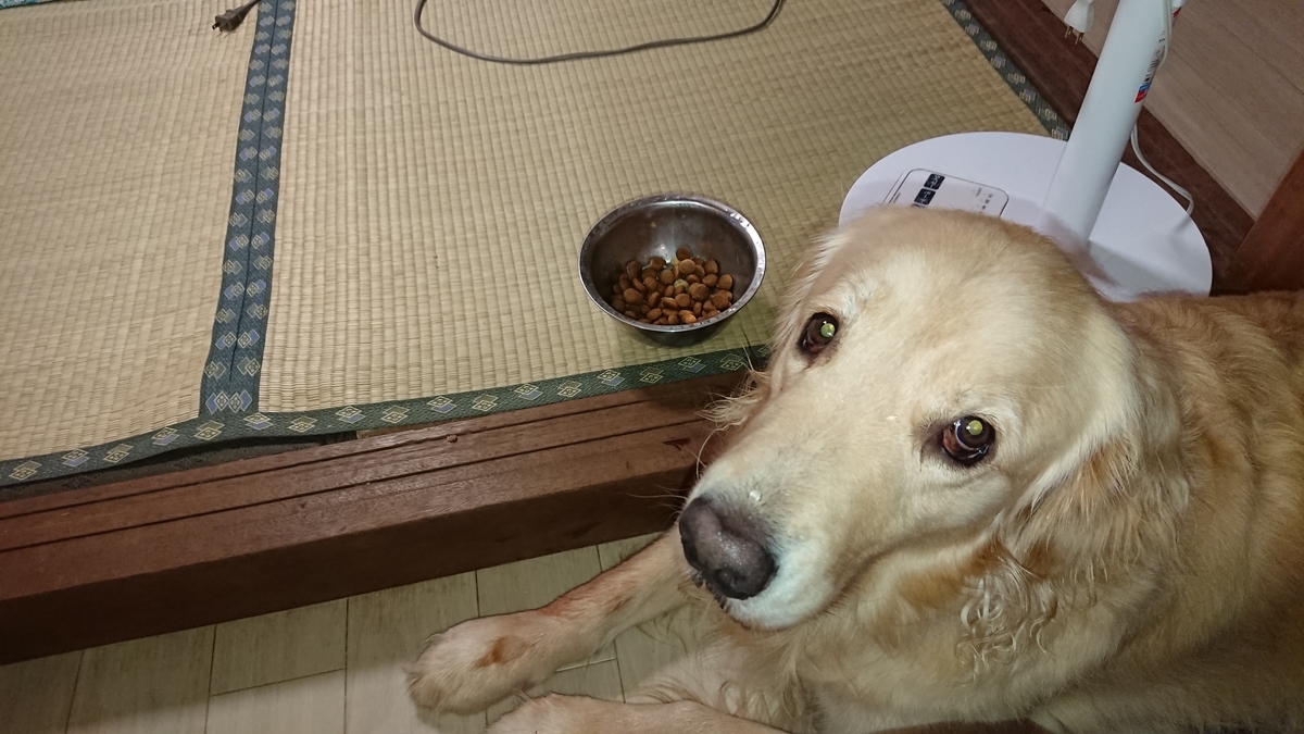 さつまいも と鶏のレバー まる犬日記