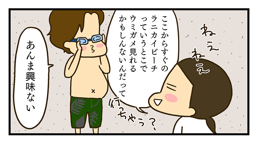 近くのラニカイビーチでウミガメが見れるかもしれないと誘うが、あっさり断られる