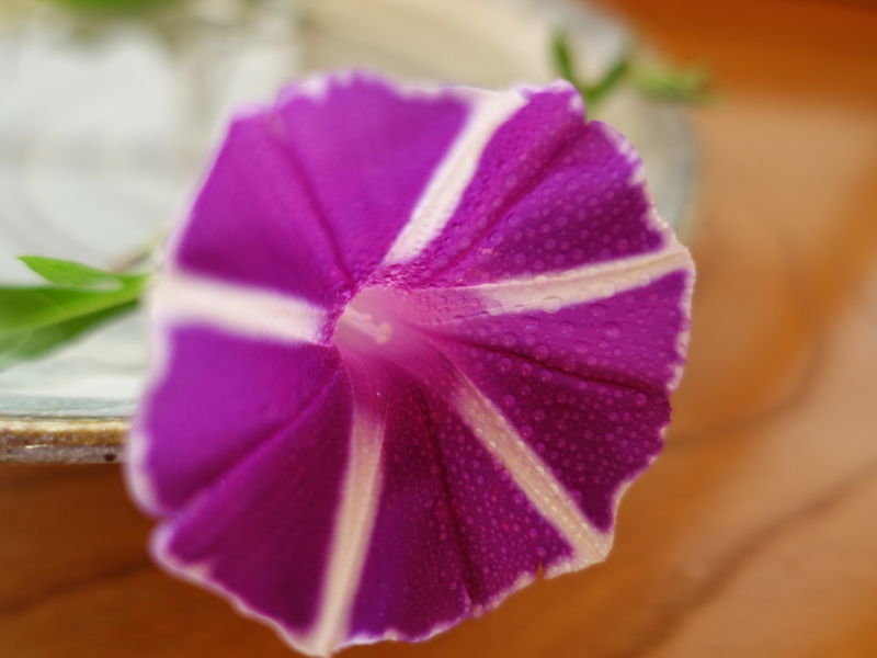 f:id:marujin:20180815062909j:plain f:id:marujin:20180815062909j:plain
